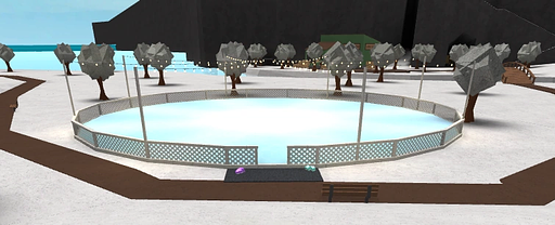 IceSkatingRink.webp